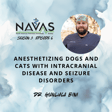 Dr. Gianluca Bini explores the complexities of anesthetizing dogs and cats with intracranial disease and seizure disorders image