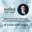 Dr. Elizabeth Goudie-DeAngelis - The Ins and Outs of Anesthetizing Dogs and Cats in Respiratory Distress image