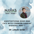 Dr. Carolyn McKune on Anesthetizing Dogs and Cats with Common Cardiac Diseases: Part 1 image