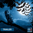 October Trailer - Buckle Up image