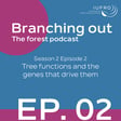 Episode 2: Tree functions and the genes that drive them image