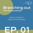 Episode 1: Care of the forests image