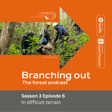 Episode 6: In difficult terrain image