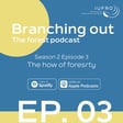 Episode 3: The how of forestry image