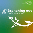 Episode 4: How Biodiversity and Forest Ecosystem Services shape our world  image