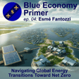 #04 - Navigating Global Energy Transitions Toward Net Zero image