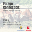 Corn Silage: Dr. Renato Schmidt - Part 2 image