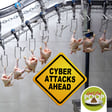 Some Growing Food Safety Threats That Most Don't Think About But Can Gravely Affect Your Facility | Episode 116 image