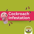 Cockroach Infestation Horror Stories and What They Reveal About Food Safety | Episode 117 image