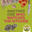 Environmental Health Food Inspector: Tales From Another One Who Watches the Kitchen with Monica Pancare | Episode 138 image