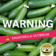 A Side of Salmonella: What’s Up with Those Contaminated Cucumbers? | Episode 119 image