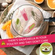 Apparently, a Little Salmonella in Poultry is Okay. But Should It Really Be? | Episode 144 image