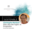 Más allá del Agile, el Propósito image