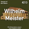 #213: Wilhelm Meisters Lehrjahre - Johann Wolfgang von Goethe image