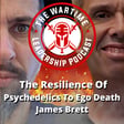 Episode 91: The Resilience of Psychedelics To Ego Death with James Brett image