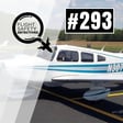 CFIs Bad Choices Turn Deadly - Episode 293 image