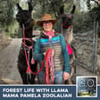 GO 127 - Forest Life With Llama Mama Pamela Zoolalian image