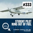 Student Pilot Runs Out of Fuel - Episode 333 image