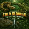 Cold Blooded Conversations image