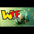WTF News: Just cant make this stuff up image