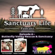 Episode 6 - Butterfly Valley Rescue & Sanctuary image