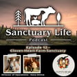 Episode 12 - Cloven Heart Farm Sanctuary image