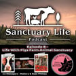 Episode 8 - Life With Pigs Farm Animal Sanctuary image