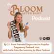 From Prenatal Depression to Popular Pregnancy Podcast Host with Laila from the Learning to Mom Podcast image