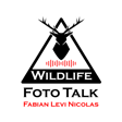 Folge 15 - Naturfotografie in den Alpen und Portugal mit Marc Siegle image