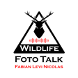  Wildlife Foto Talk Folge 7 – Bachelorarbeit von Nicolas, Alpensteinböcke im Schnee und Thema Datensicherung & Grundausrüstung im Fotorucksack image