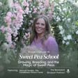 Ep. 48: Sweet Pea School: Marryn Mathis on Growing, Breeding, and the Magic of Sweet Peas image