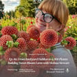 Episode 86: From Backyard Dahlias to 4,000 Plants: Building Sweet Bloom Farm with Melissa Stewart image
