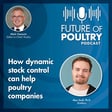 How dynamic stock control can help poultry companies image