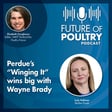 Perdue’s "Winging It" wins big with Wayne Brady image