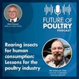 Rearing insects for human consumption: Lessons for the poultry industry image