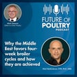 Why the Middle East favors four-week broiler cycles and how they are achieved. image