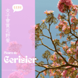 EP052 - 法國櫻花好漂亮，悠閒野餐超快樂 image
