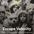 Escape Velocity with Dave Look, CEO Chromatic image