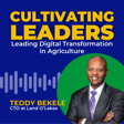 Leading Digital Transformation in Agriculture with Teddy Bekele image