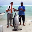 Episode 6: Tate Dale - Kiribati - Kiritimati, Abemama, Tabiteuea, Tarawa image