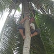 Episode 7: Damon Swain - Marshall Islands - Ailinglaplap, Ebeye, Majuro, Arno (jambo) image