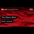 The Macro Brief – Market resilience amid global risks image