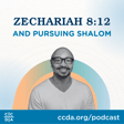 Zechariah 8:12 and Pursuing Shalom image