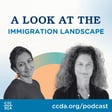 A Look at the Immigration Landscape image