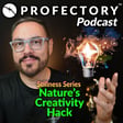 The Stillness Series- Part 2: How Nature Restores the High-Performing Mind image
