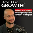 Making Bold Moves: Building Ecosystems for Scale and Impact image