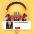 Ep.9 It's Pruning Season image