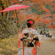 From Tourist to Local: How One Trip to Japan Changed Everything image