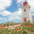 Planning the Perfect Prince Edward Island Getaway image