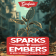 Sparks + Embers Episode No. 018 - Community Series Prologue: The 9 Problems Undermining Community Foundations image